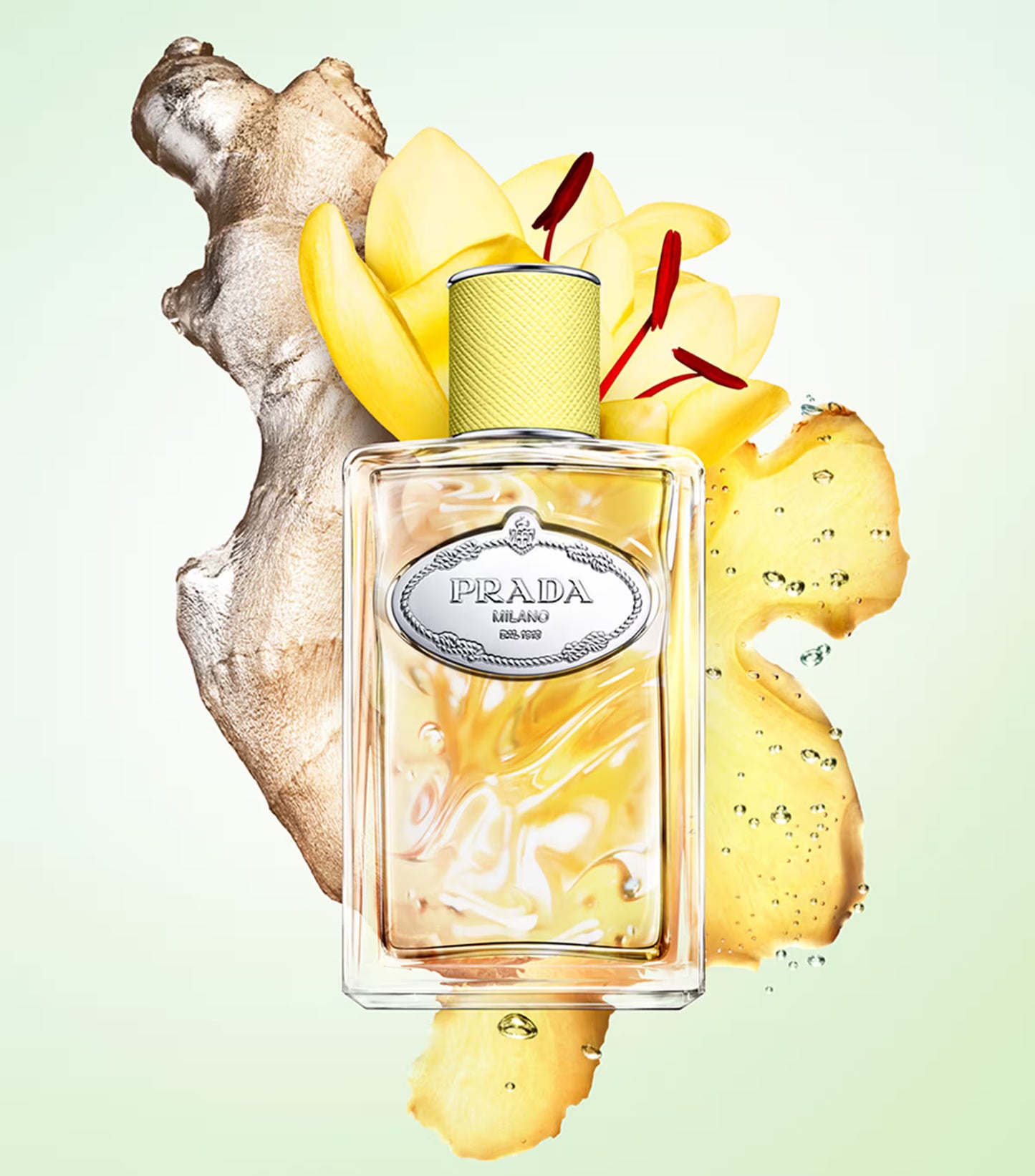 Prada Les Infusions de Prada Infusion de Mandarine Eau de Parfum 100ml 3.3 fl oz Fresh Citrus Woody Perfume for Women and Men