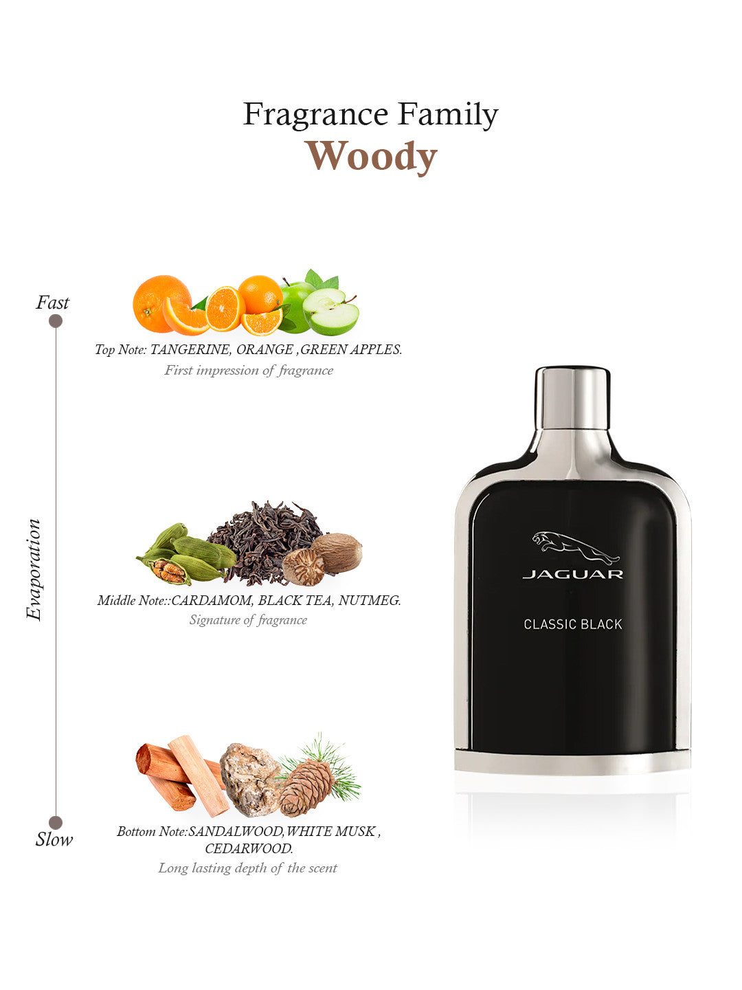 Jaguar Classic Black Eau de Toilette for Men 100ml – Sophisticated Woody Aromatic Fragrance