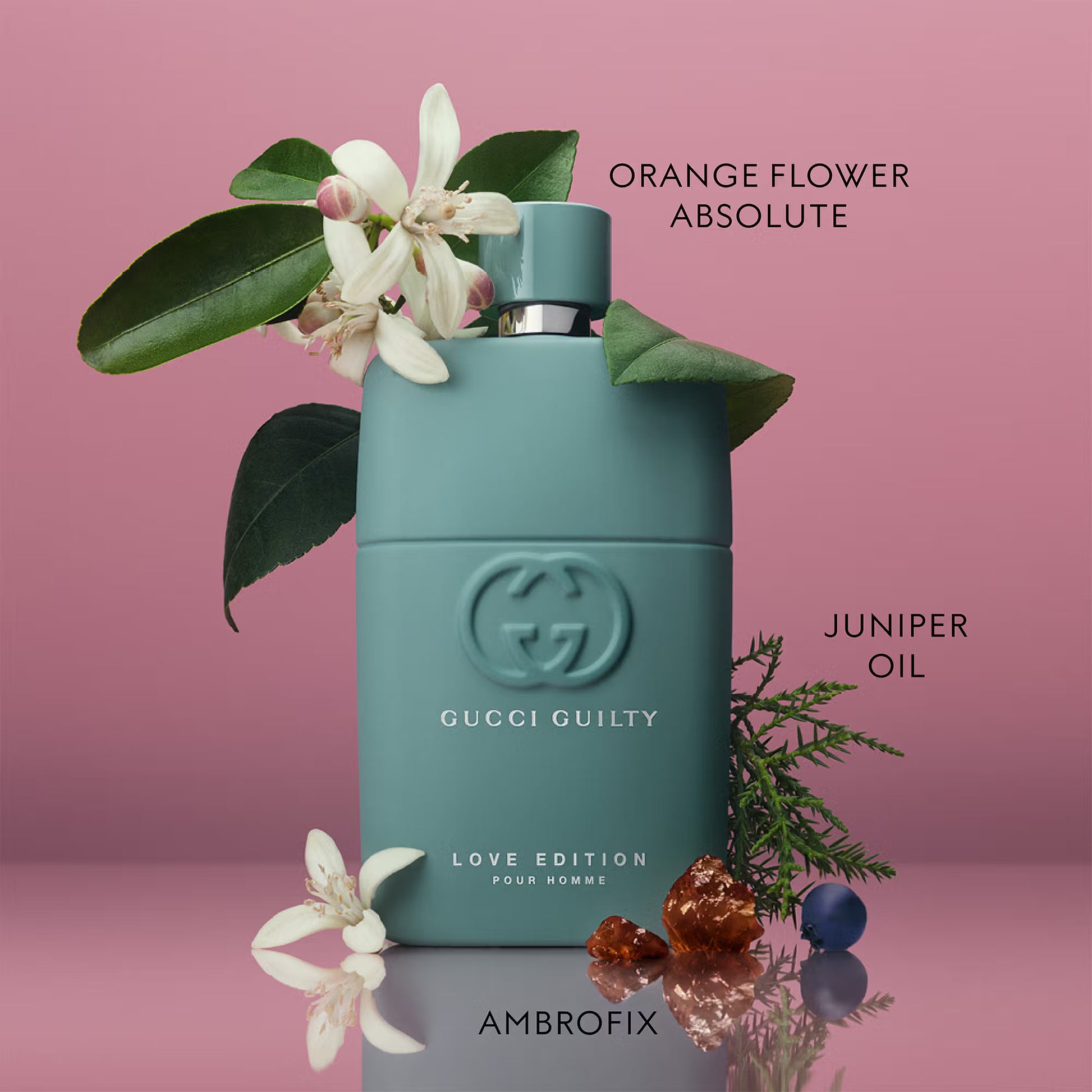 Gucci Guilty perfume bottle with orange flowers and juniper oil on a pink background Gucci Guilty Love Edition Pour Homme Eau de Parfum 90 ml (3 fl.oz)