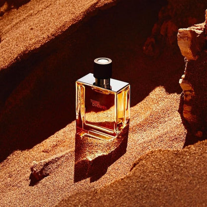 Terre d’Hermès Eau Très Fraîche 100ml Eau de Toilette for Men Fresh Woody Citrus