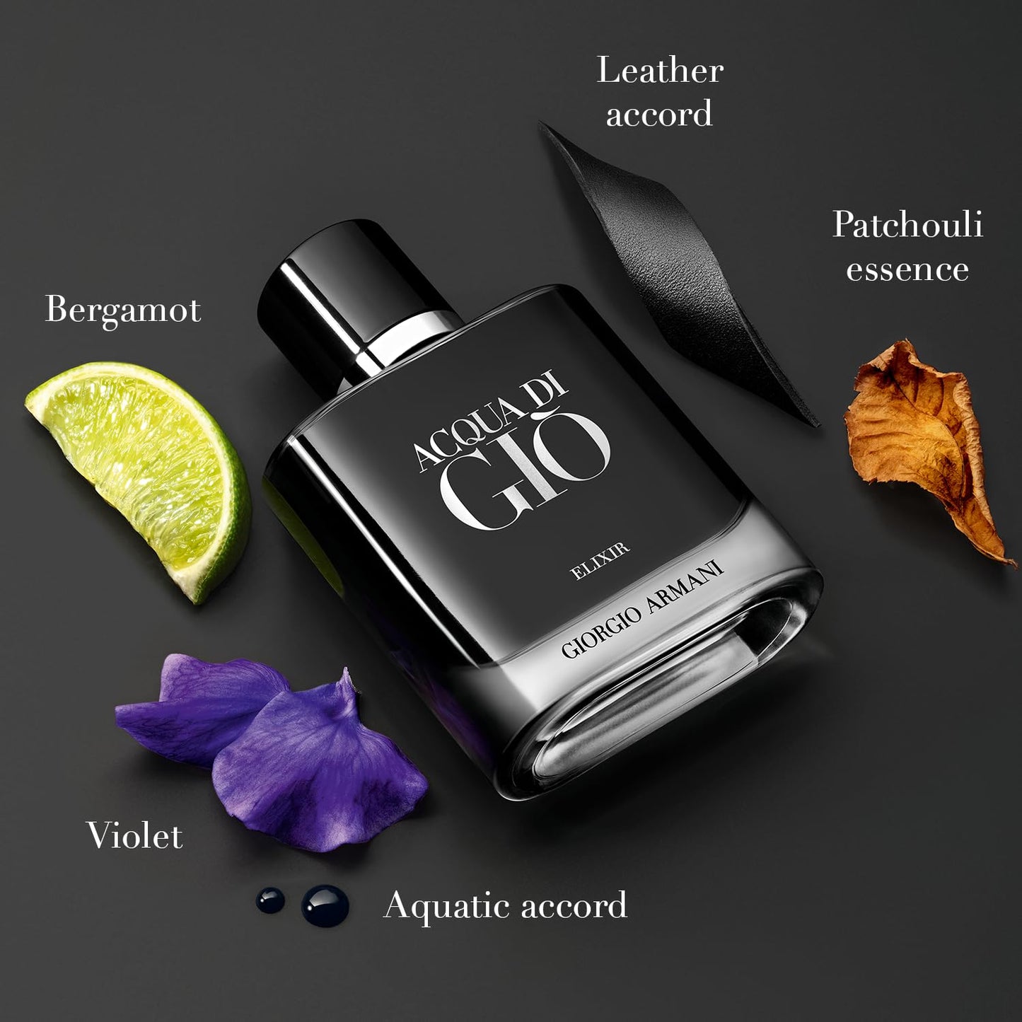 Acqua di Giò Giorgio Armani Elixir 100ml 3.3 oz Parfum for Men Intense Woody Aromatic Luxury Fragrance