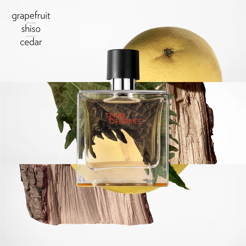 Terre d’Hermès Eau Très Fraîche 100ml Eau de Toilette for Men Fresh Woody Citrus