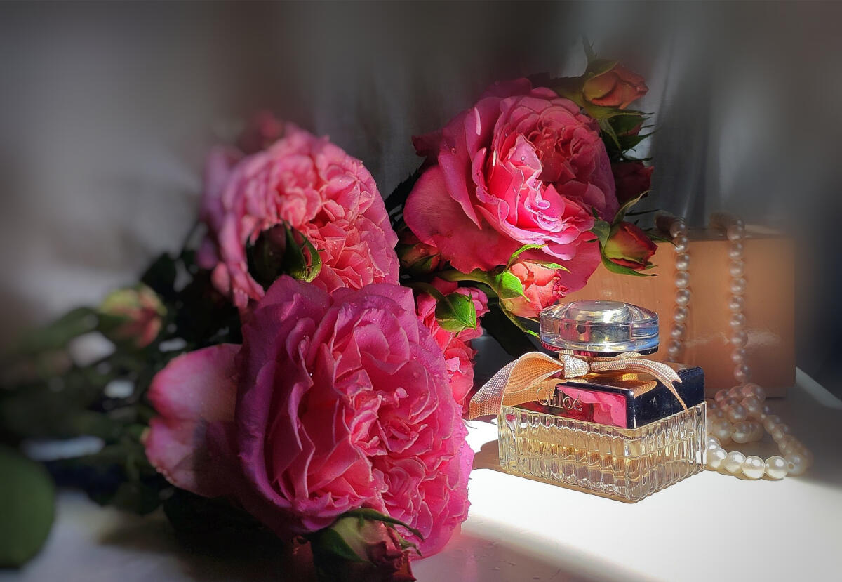 Chloé Eau de Parfum 75ml 2.5 fl oz Women’s Fresh Floral Rose Luxury Perfume for Everyday Elegance