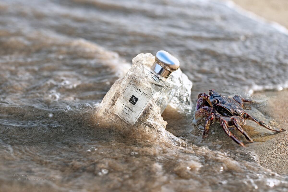 Jo Malone Wood Sage & Sea Salt Cologne 100ml – Fresh Woody Marine Luxury Unisex Fragrance
