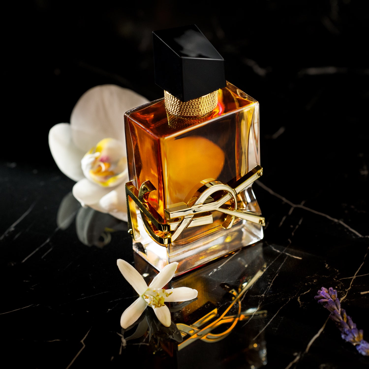 Perfume bottle with gold accents on a reflective black surface with flowers.Yves Saint Laurent Libre Eau de Parfum Intense 90 ml (3 fl.oz)