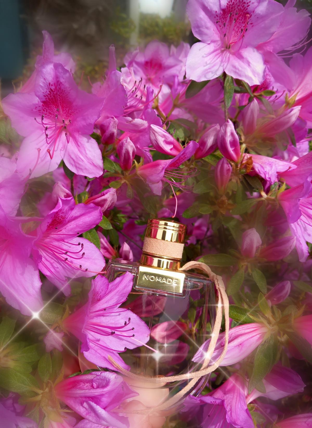 Chloé Nomade Eau de Parfum 75ml 2.5 fl oz Women’s Woody Floral Chypre Luxury Perfume