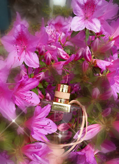 Chloé Nomade Eau de Parfum 75ml 2.5 fl oz Women’s Woody Floral Chypre Luxury Perfume