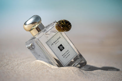 Jo Malone Wood Sage & Sea Salt Cologne 100ml – Fresh Woody Marine Luxury Unisex Fragrance