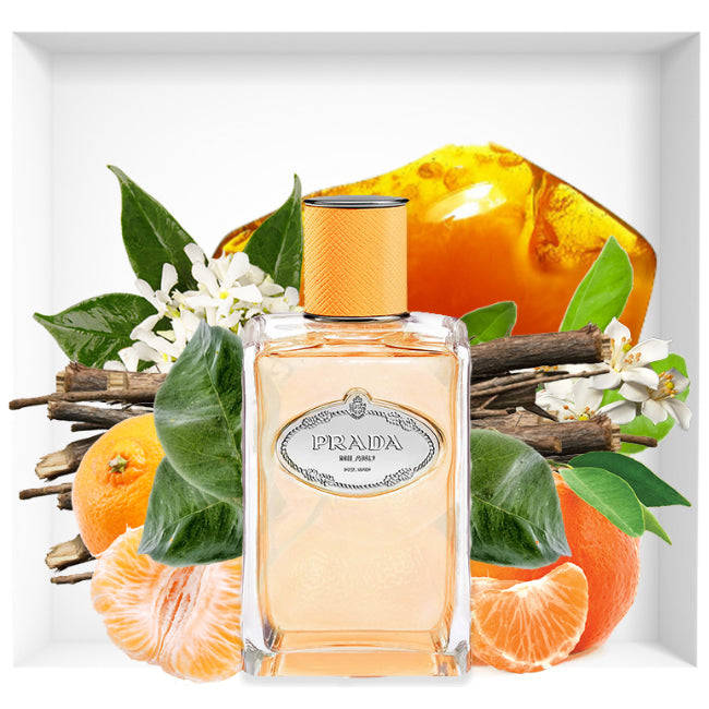 Prada Les Infusions de Prada Infusion de Mandarine Eau de Parfum 100ml 3.3 fl oz Fresh Citrus Woody Perfume for Women and Men