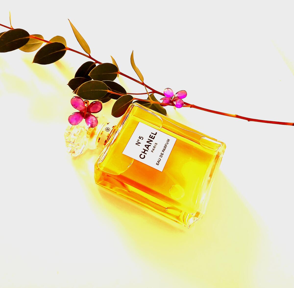 Chanel No.5 Eau de Parfum for Women 100ml – Classic Floral Aldehyde Luxury Fragrance
