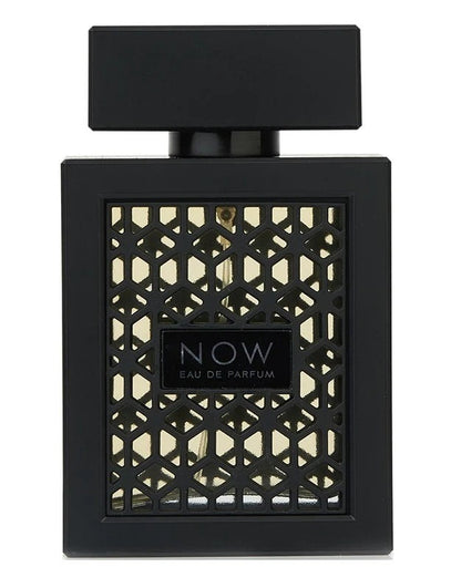 RAVE NOW EAU DE PARFUM 100ML – FRESH FRUITY WOODY PERFUME FOR MEN