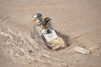 Jo Malone Wood Sage & Sea Salt Cologne 100ml – Fresh Woody Marine Luxury Unisex Fragrance