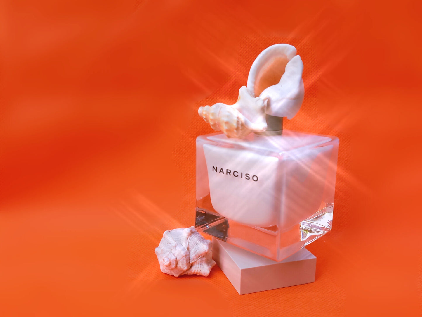 Narciso Rodriguez Narciso Eau de Parfum for Women 90ml – White Floral Musky Fragrance