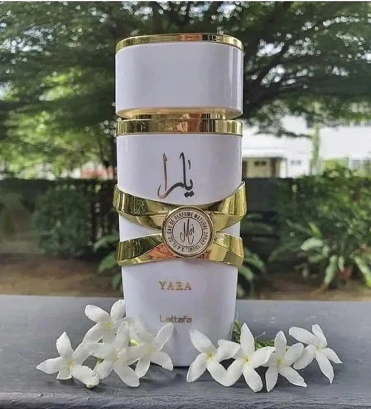 Lattafa Yara Moi Eau De Parfum for Women | Elegant, Creamy & Floral Scent | Long-Lasting Arabic Perfume | 100ml EDP