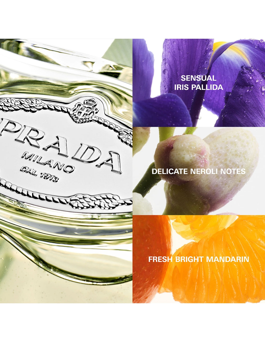Les Infusions de Prada Milano Infusion d’Iris Eau de Parfum 100ml 3.3 fl oz Unisex Powdery Floral Luxury Fragrance