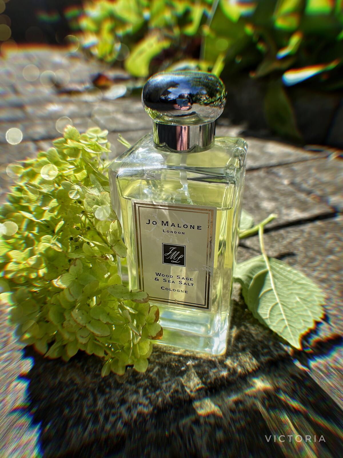Jo Malone Wood Sage & Sea Salt Cologne 100ml – Fresh Woody Marine Luxury Unisex Fragrance