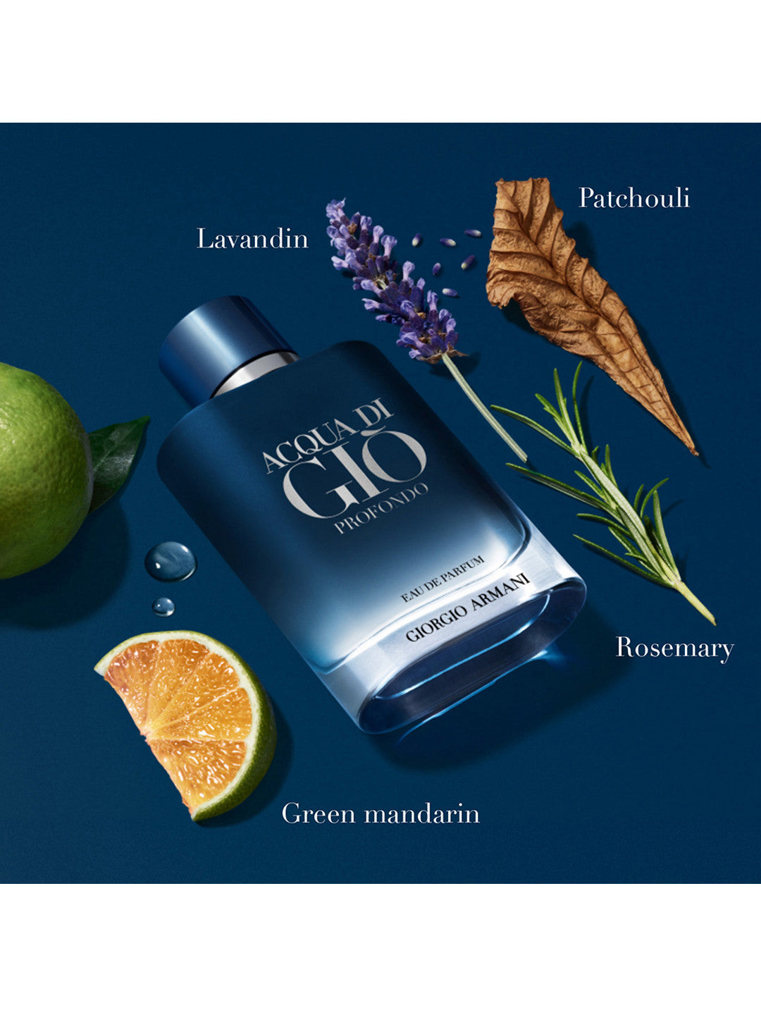 Acqua di Giò Profondo Giorgio Armani Eau de Parfum 125ml 4.2 fl oz Men’s Marine Aromatic Woody Fragrance