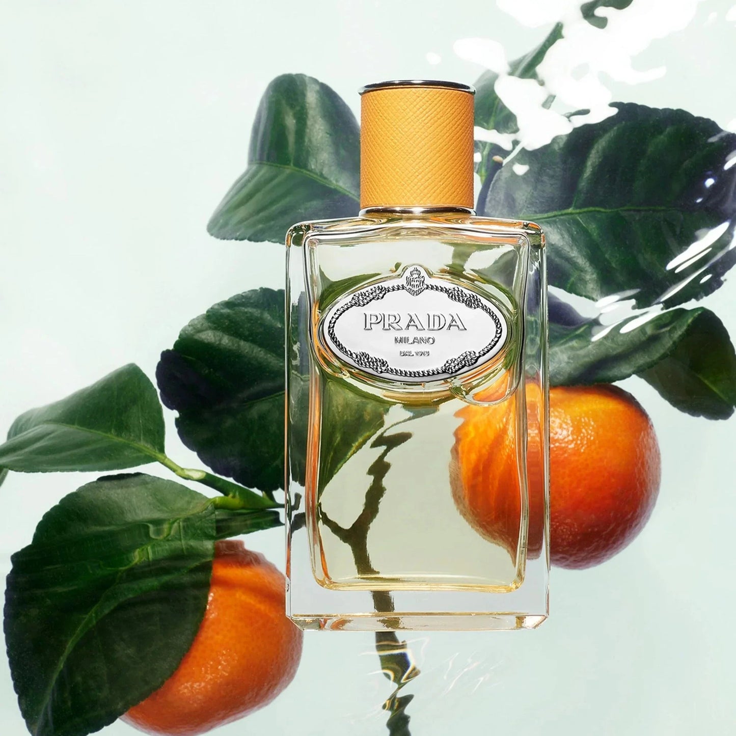 Prada Les Infusions de Prada Infusion de Mandarine Eau de Parfum 100ml 3.3 fl oz Fresh Citrus Woody Perfume for Women and Men