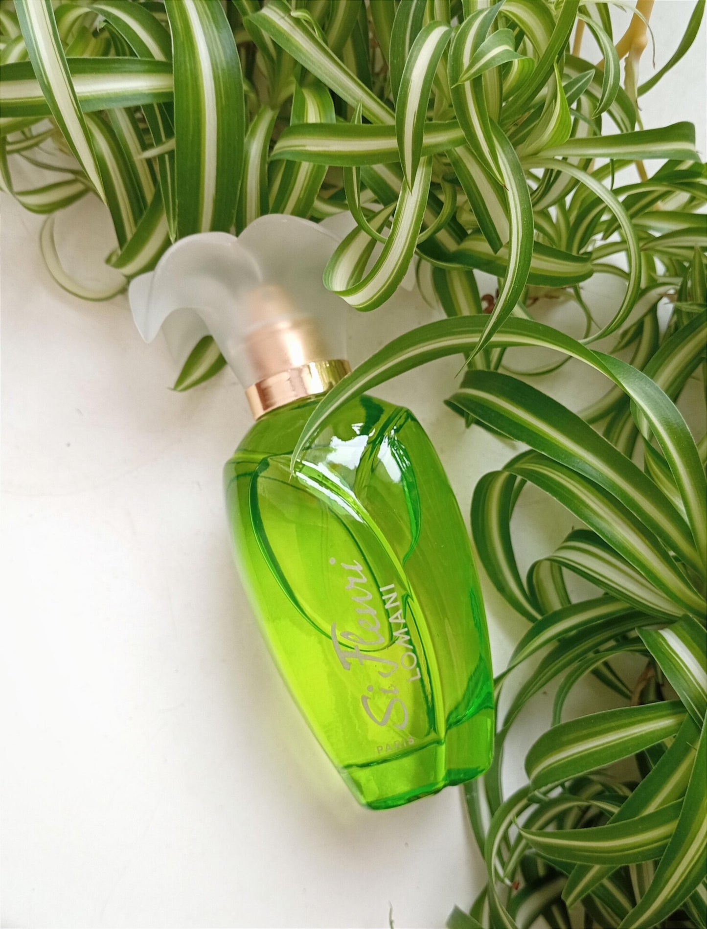 Lomani Si Fleuri Eau de Parfum for Women 100ml – Floral Fragrance