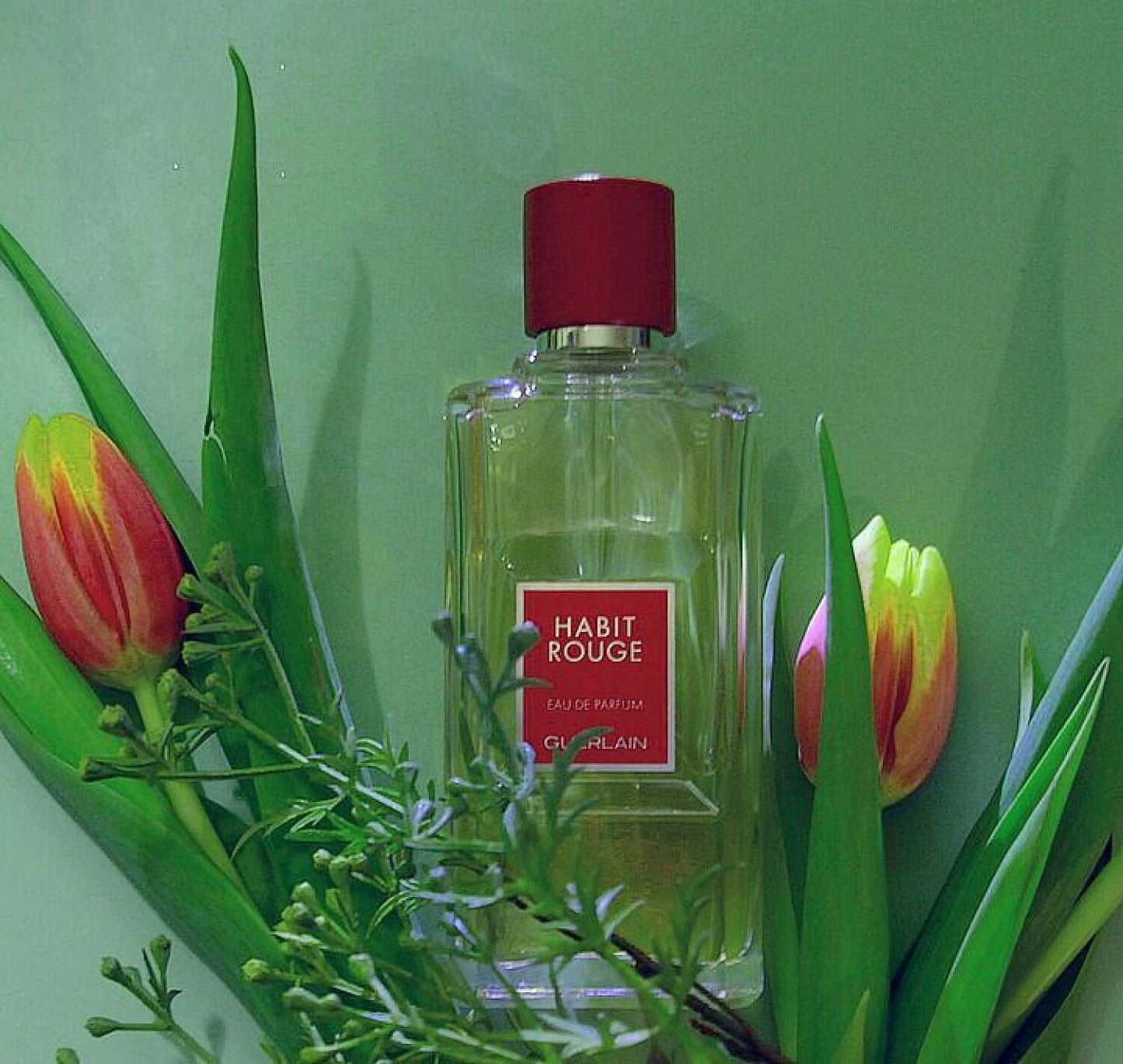 Guerlain Habit Rouge Eau de Toilette for Men 100ml – Warm Oriental Citrus Luxury Fragrance